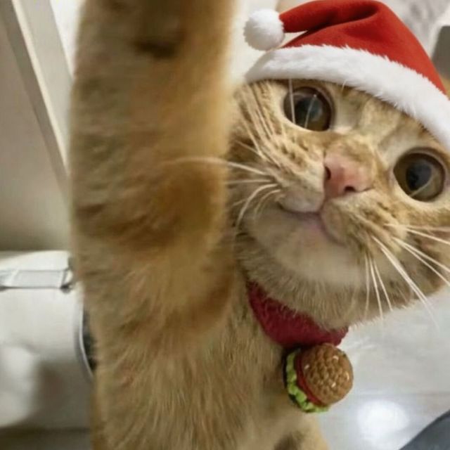 Factorization的头像